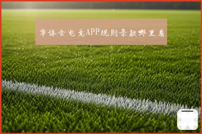 华体会电竞APP规则条款哪里看